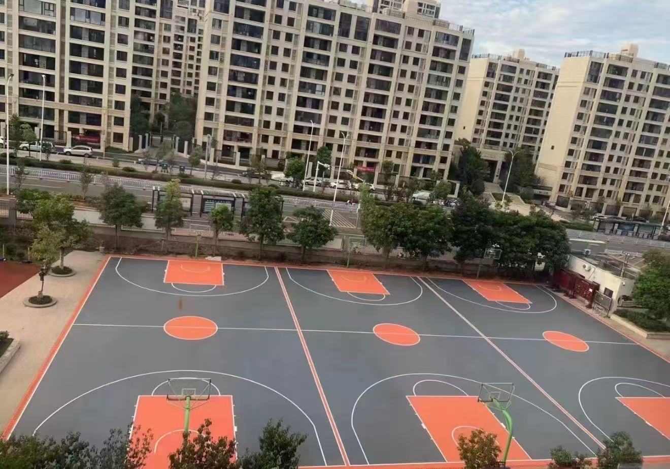 鑫龙体育案例图片