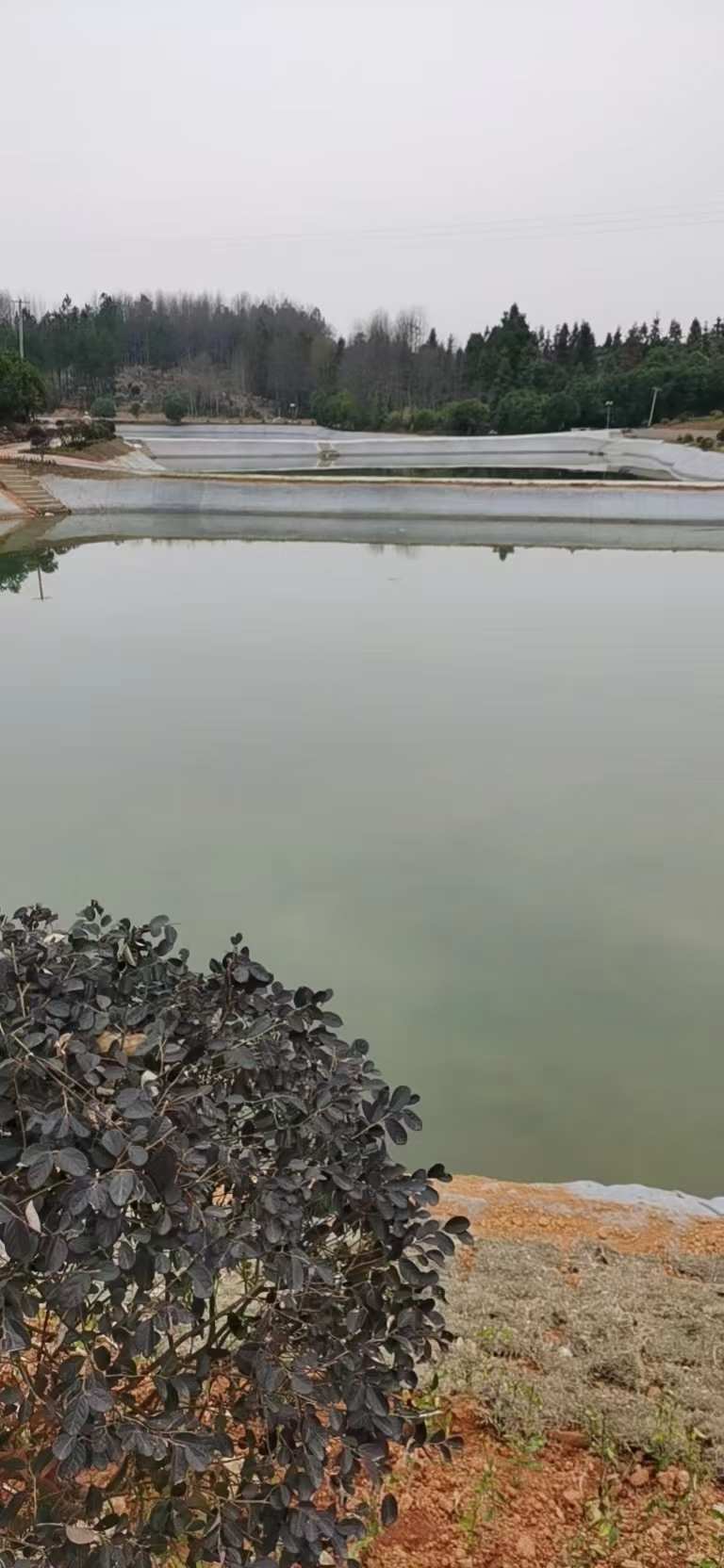 民邦新材料案例图片