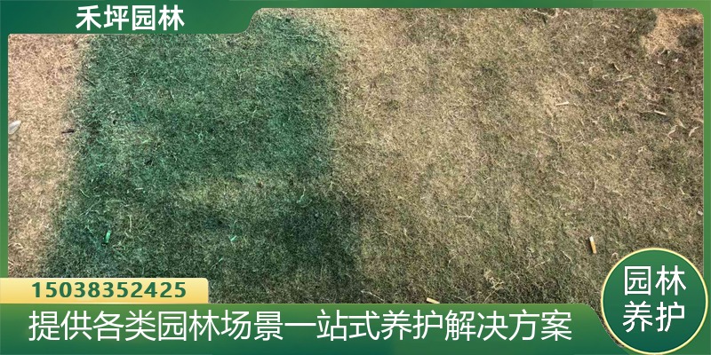淮北市树干伤口愈合剂增绿剂