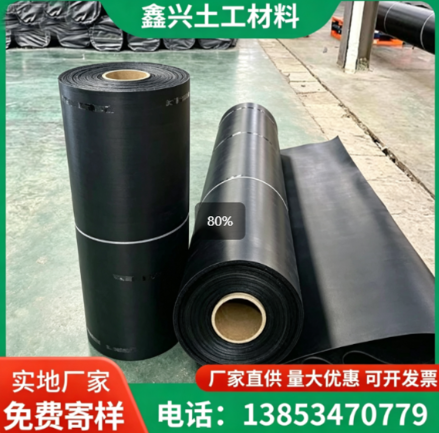 沈阳市PE土工膜高密度聚乙烯土工膜 - 推荐