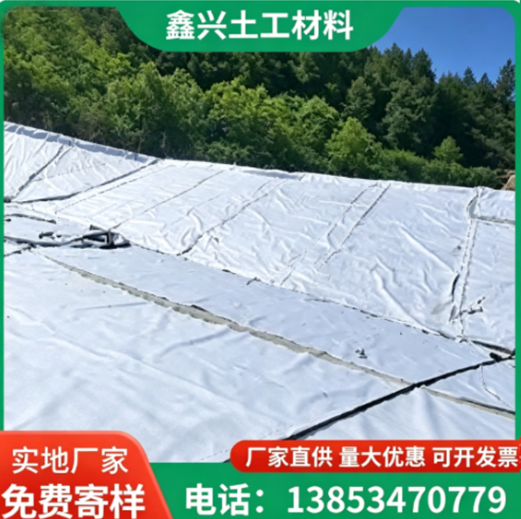 五家渠市高密度聚乙烯土工膜两布一膜 - 推荐