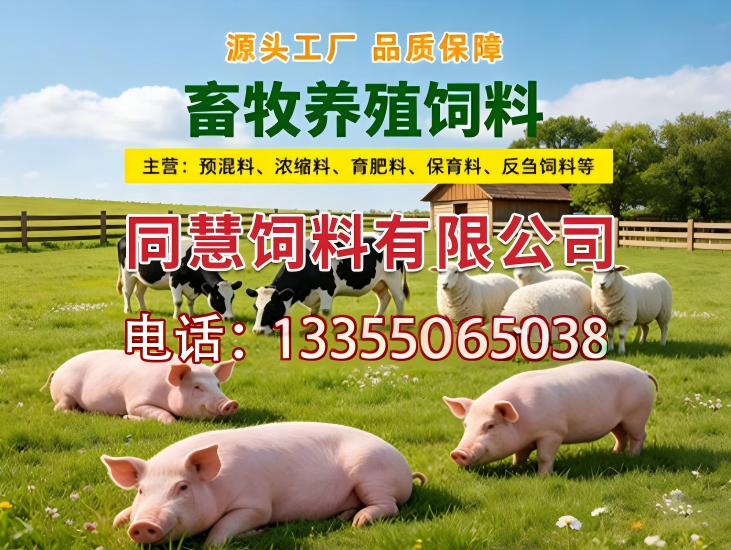 图木舒克市同慧饲料有限公司反刍饲料 - 一站式服务