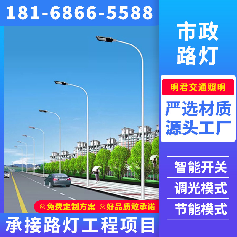 雅安市景观灯市政路灯