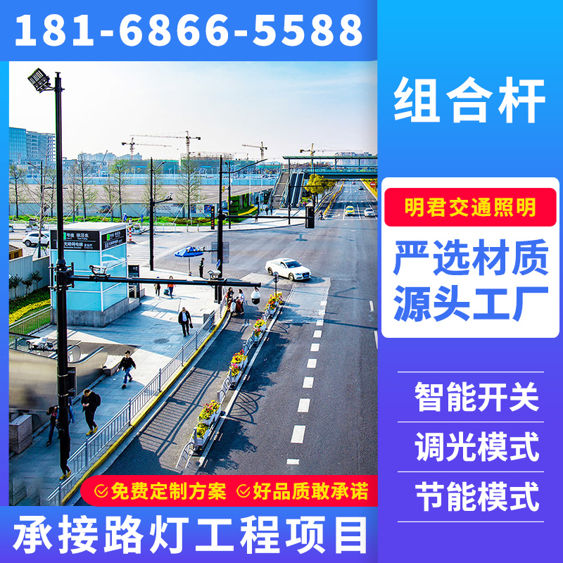 雅安市景观灯组合杆