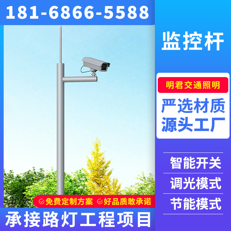 雅安市监控杆景观灯