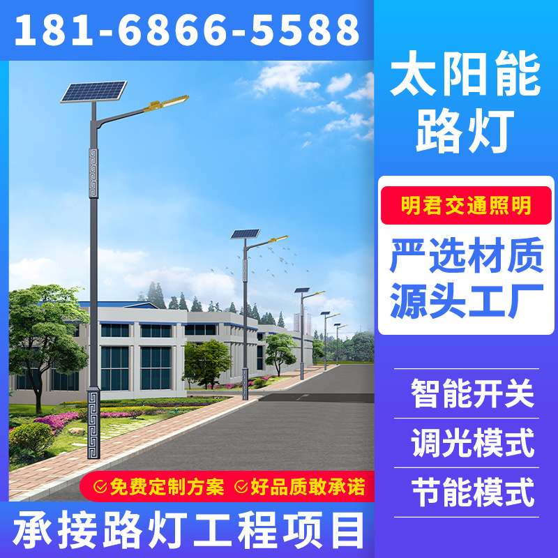 雅安市景观灯道路亮化工程