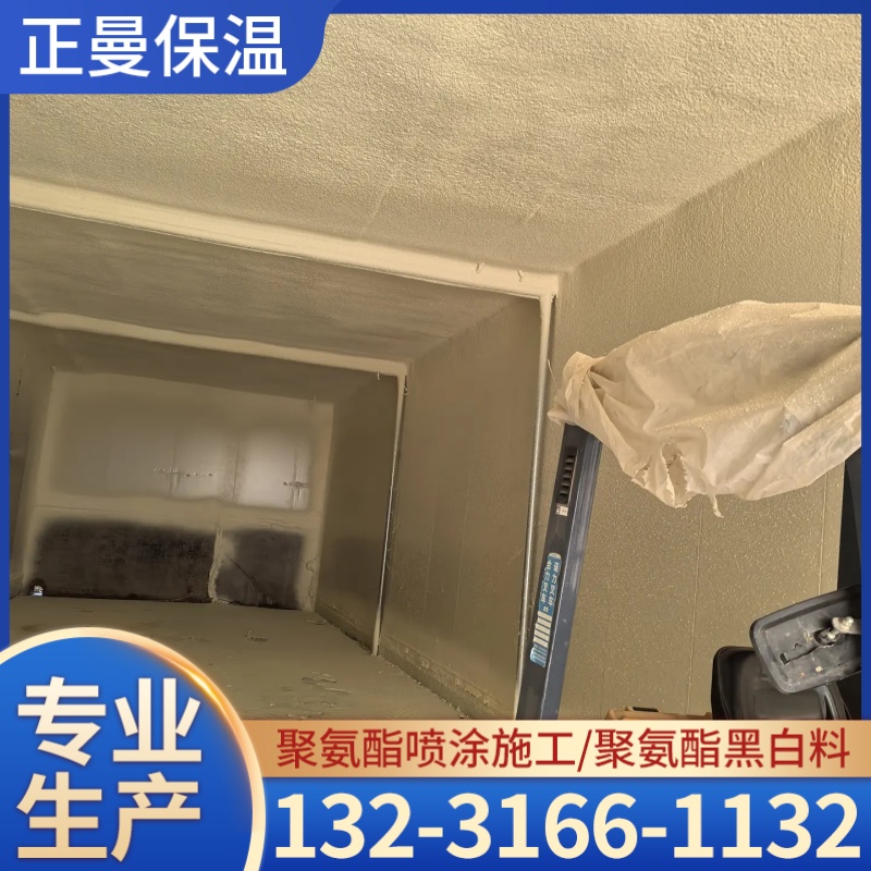 正曼保温案例图片