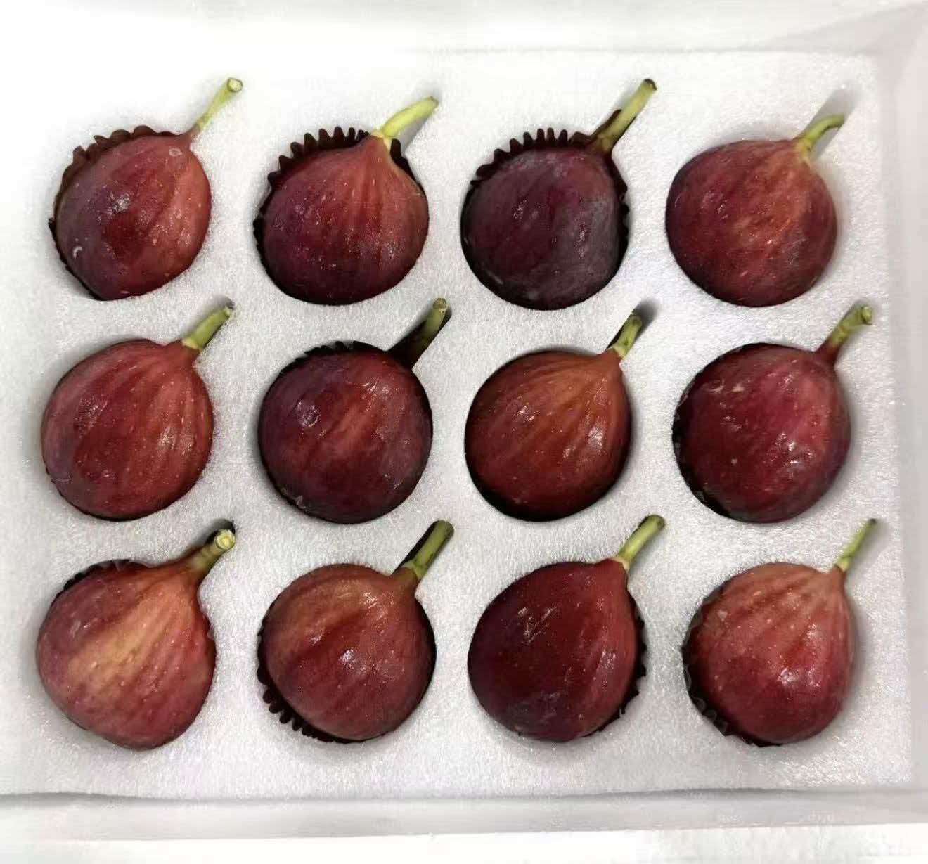 泽洋泡沫塑料包装案例图片