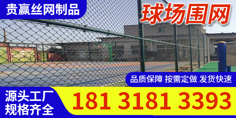 贵赢丝网案例图片