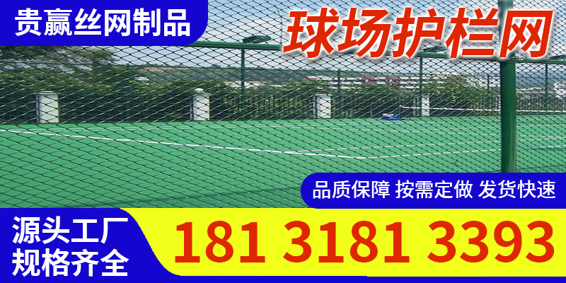 长春市球场护栏网