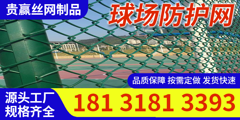 长春市球场防护网