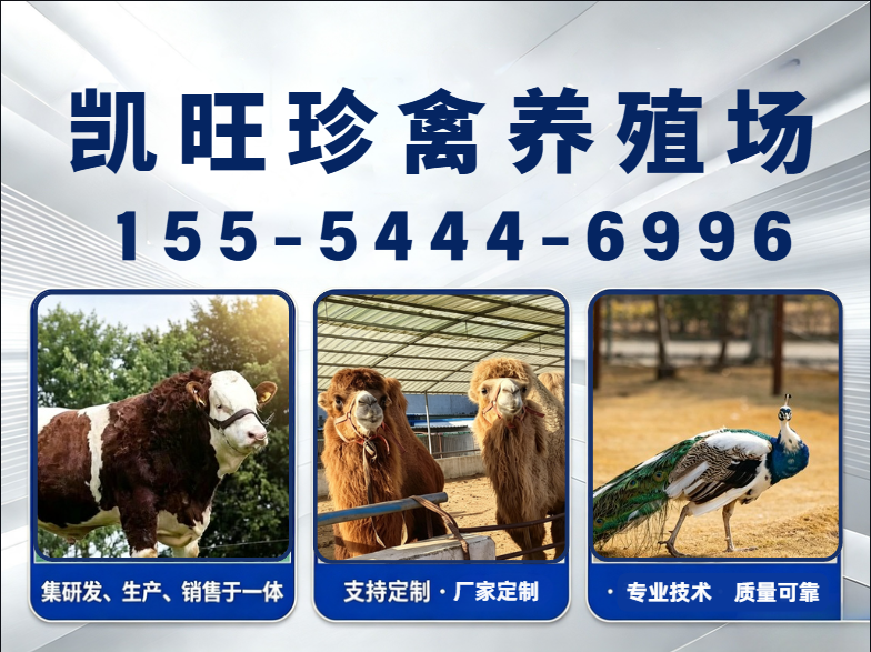 凯旺珍禽养殖场