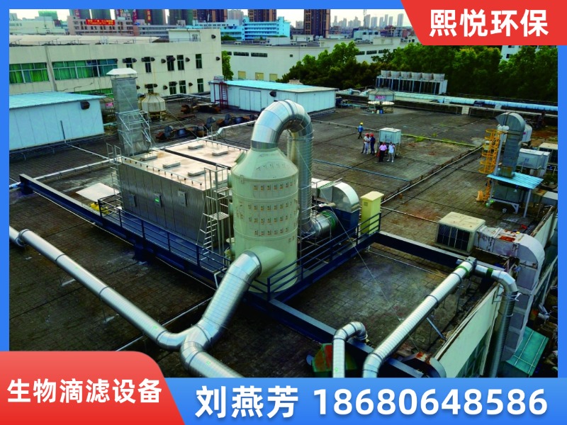 景德镇市昌江区喷漆蓄热式热力氧化炉废气生物滴滤设备