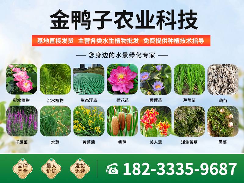 金鸭子农业科技