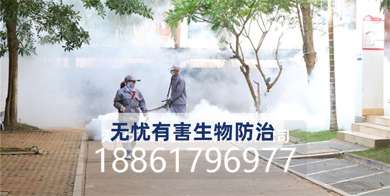 宜兴市上门除虫除四害 - 排名