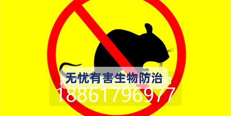 江阴市上门除虫灭白蚁 - 推荐