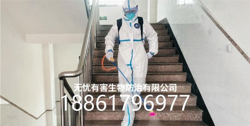 滨湖区白蚁防治除四害 - 价格