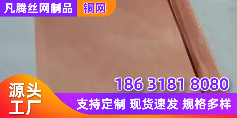衡水市紫铜网席型网