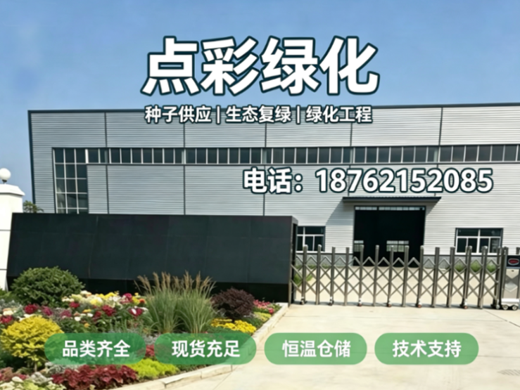 点彩绿化