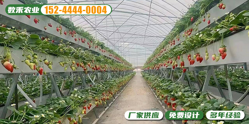 宜春市无土栽培设备无土栽培温室