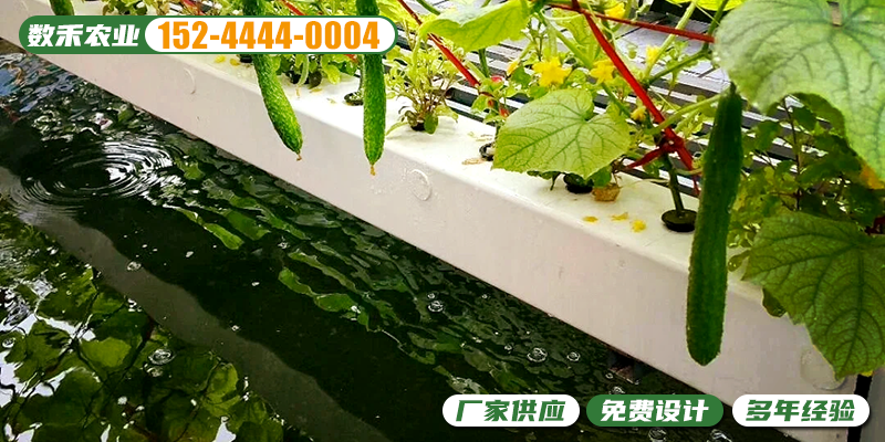 宜春市鱼菜共生无土栽培温室