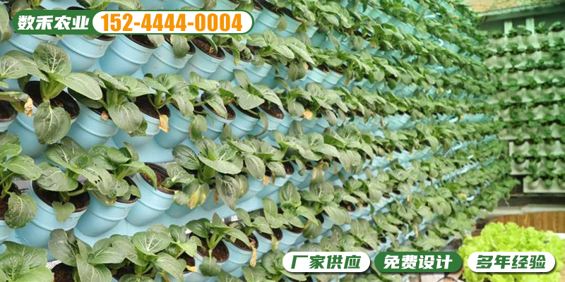 宜春市植物工厂无土栽培温室