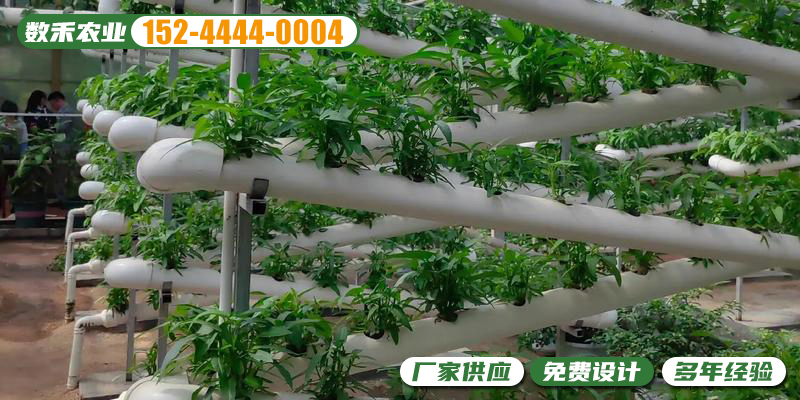 宜春市基质栽培无土栽培温室