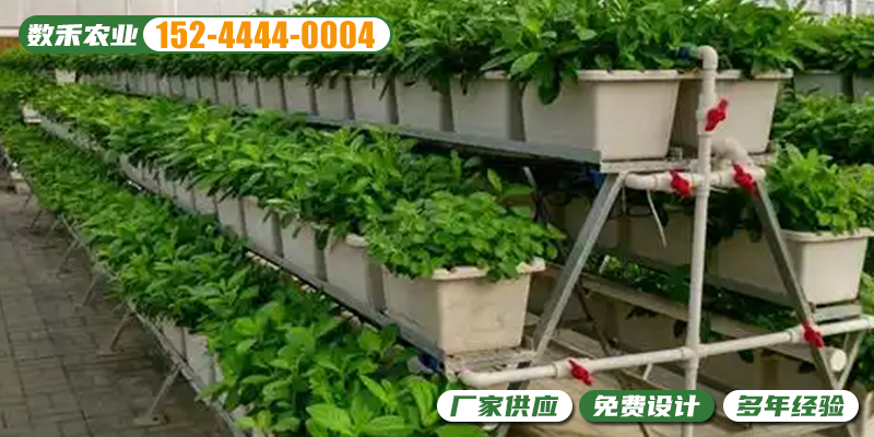 宜春市立体种植无土栽培温室