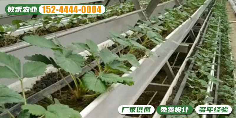 宜春市多层立体种植无土栽培温室