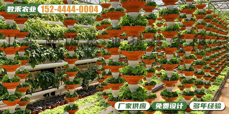 宜春市玻璃温室无土栽培温室