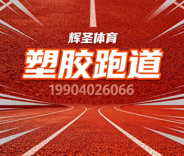 辉圣体育设施案例图片