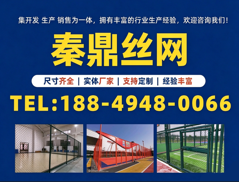 秦鼎丝网