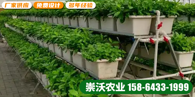 崇沃农业科技案例图片