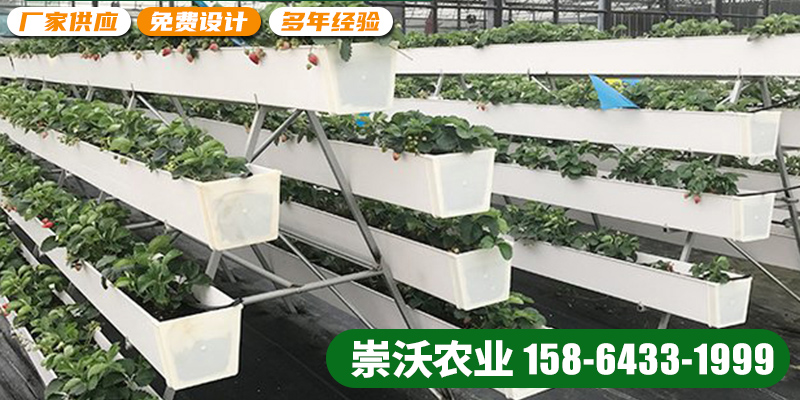 崇沃农业科技案例图片