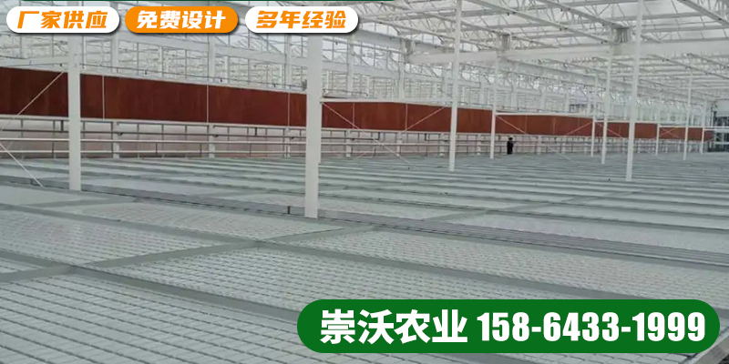 淮北市无土栽培智慧农业