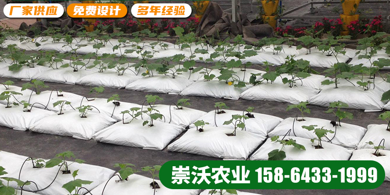 淮北市智慧农业苗床