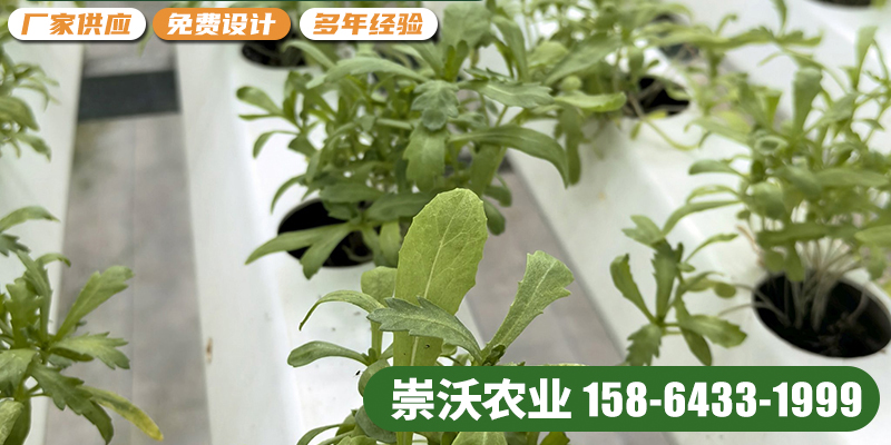 淮北市智慧农业无土栽培设备