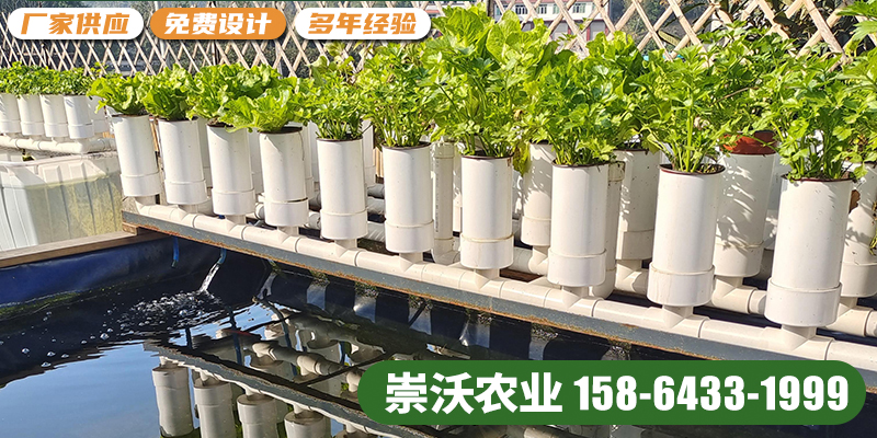 淮北市智慧农业鱼菜共生