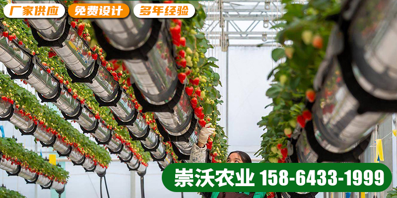 淮北市空中草莓智慧农业