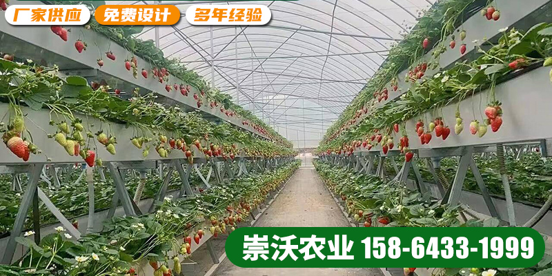 淮北市智慧农业种植槽