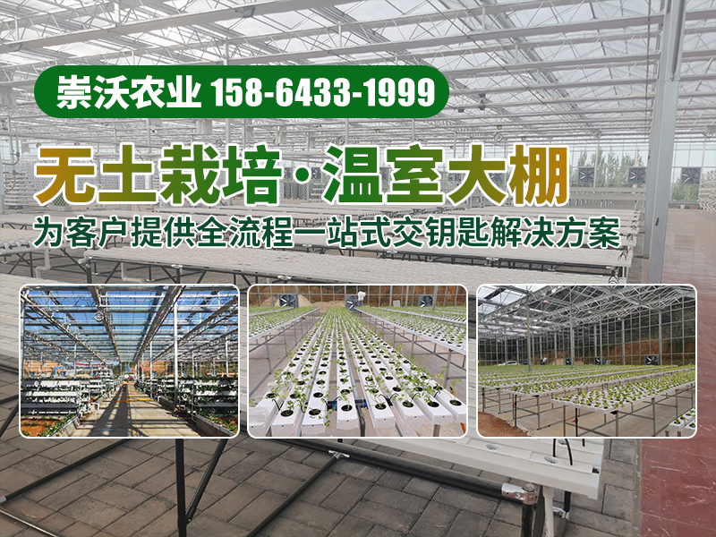 崇沃农业科技