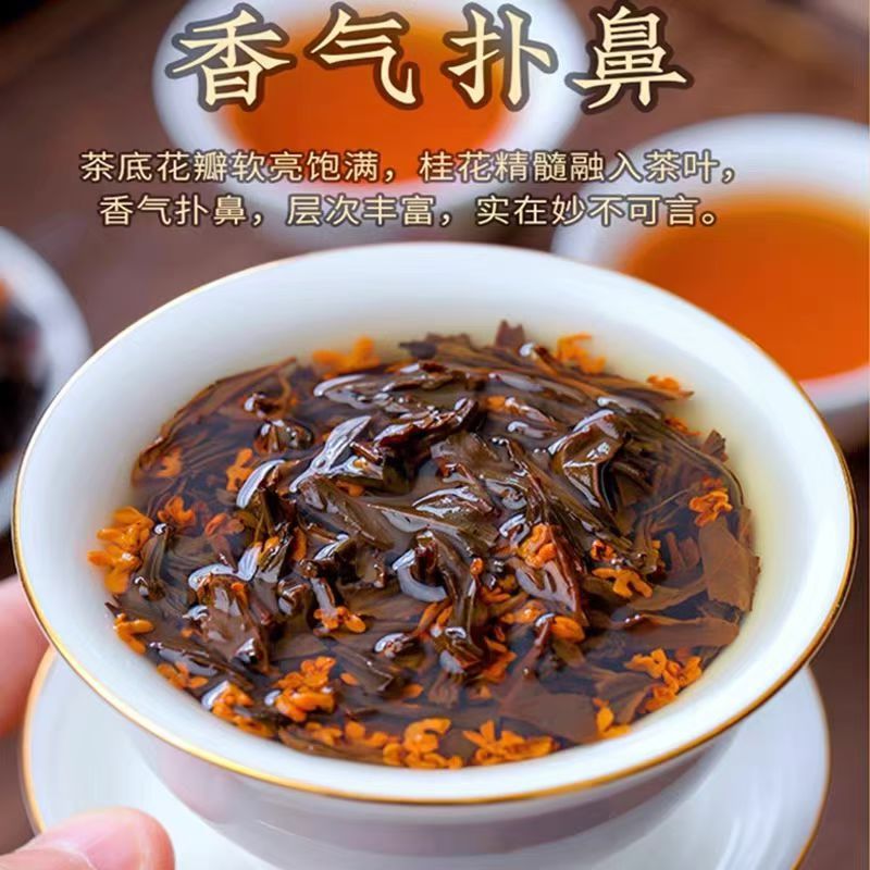 神湾镇云雾高山绿茶供应链冷泡茶