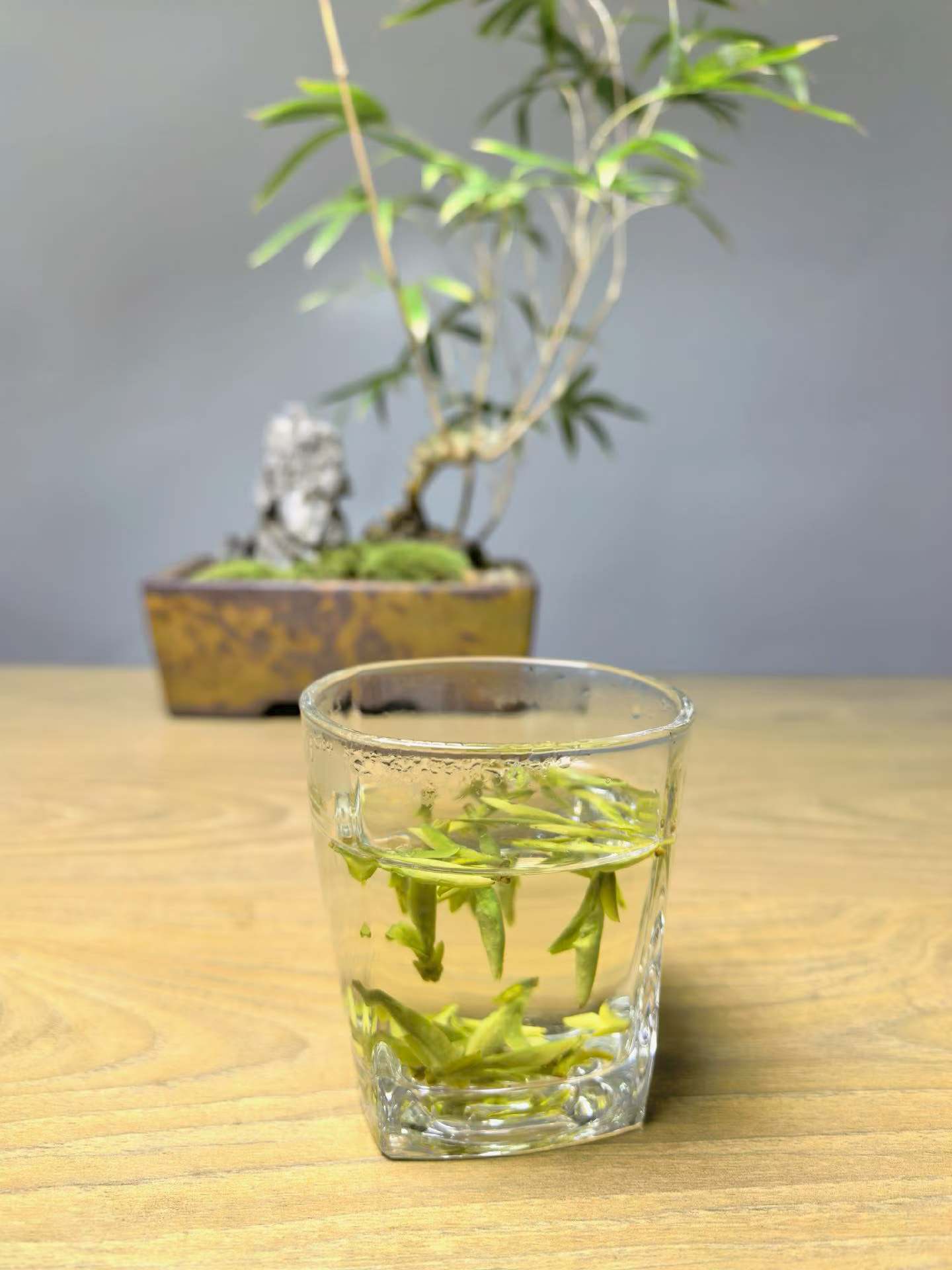 神湾镇云雾高山绿茶供应链茶叶经销商加盟
