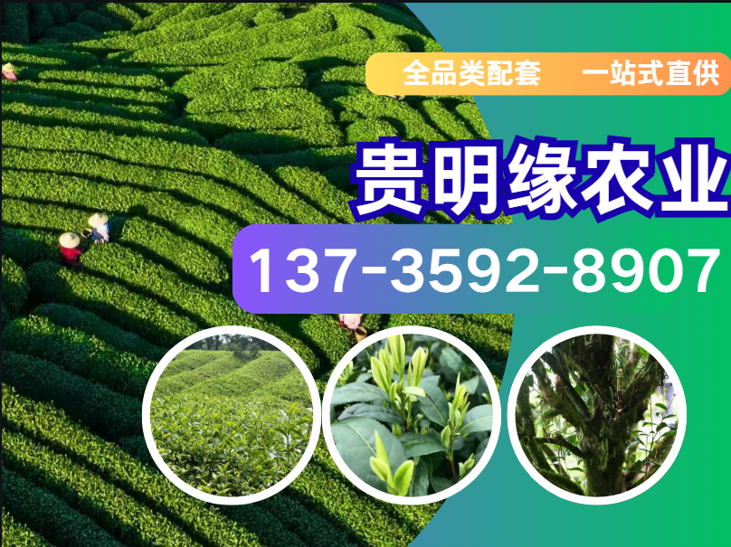 贵明缘农业