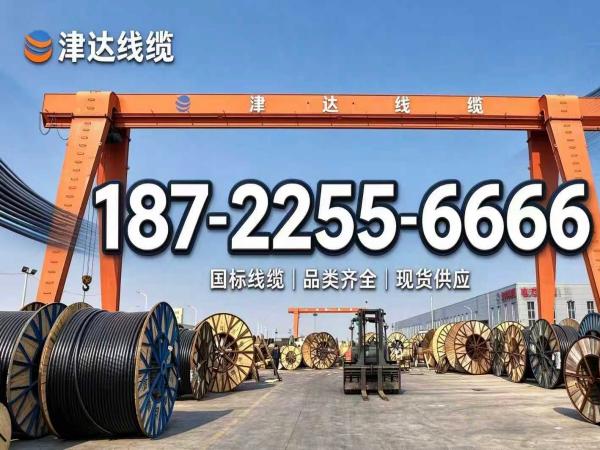 正标津达线缆