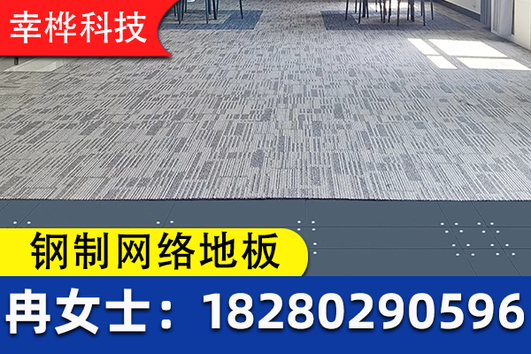 麻栗坡县钢制网络地板