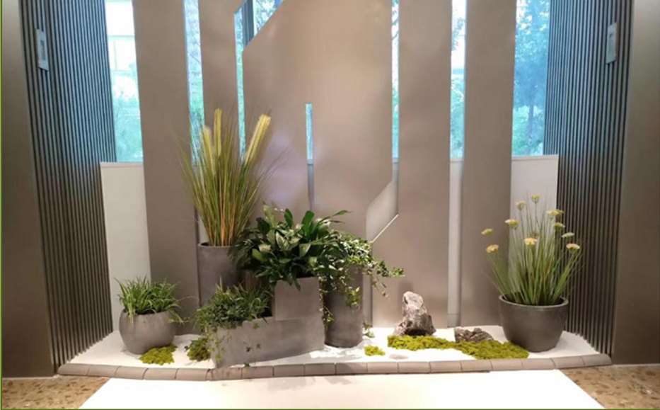 北京甲醛治理绿植租摆