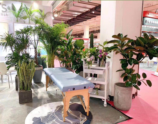 北京甲醛治理绿植养护托管