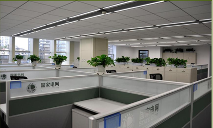 北京办公室花卉甲醛治理