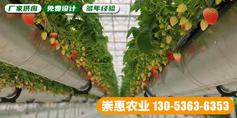 崇惠农业科技案例图片